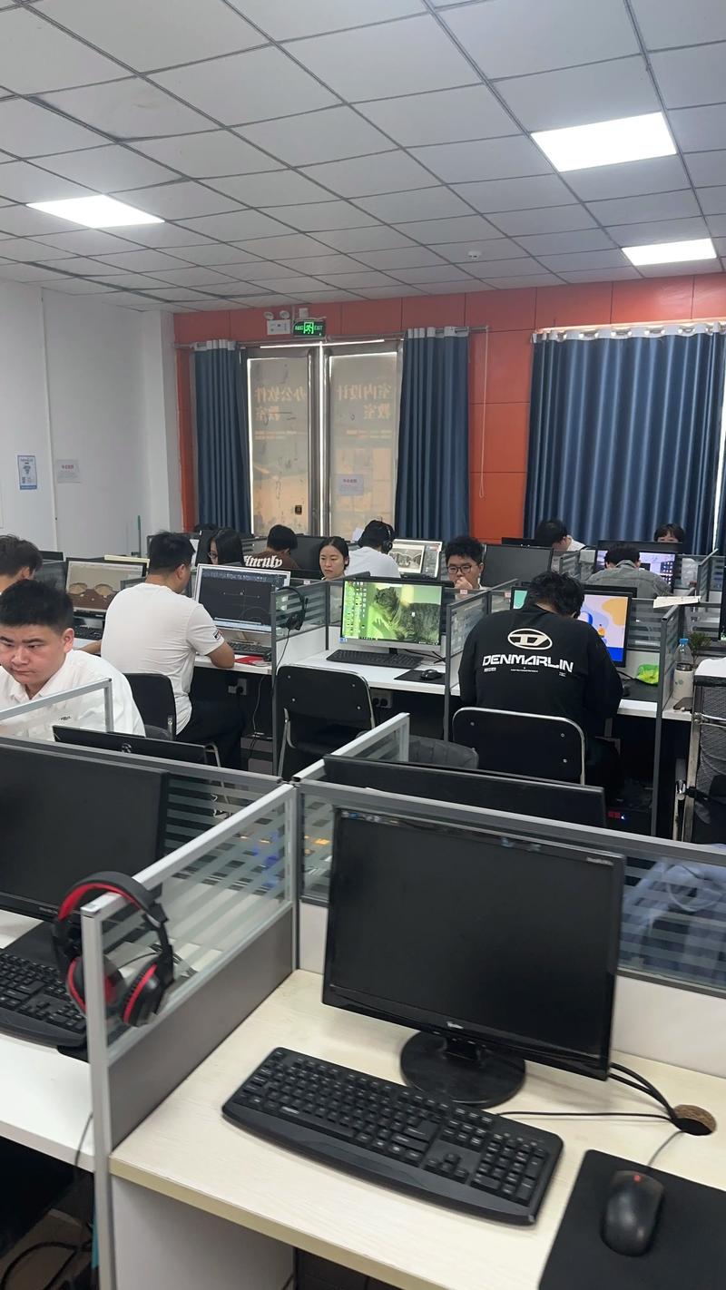 定制开发软件，让企业如同翱翔天际的巨鹰